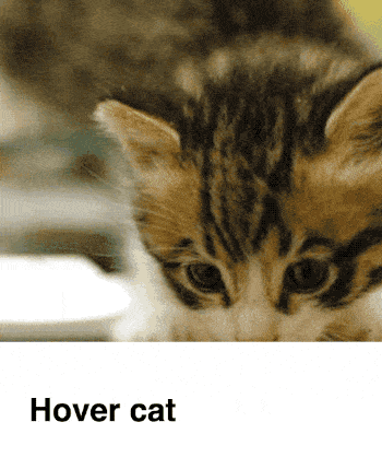 Source: http://codepen.io/donovanh/pen/LEvjJg